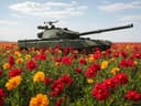Не просто цветочки, а грозный букет: полный список российской военной техники, в названиях которой есть отсылка к флористике
