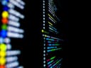 Число DDoS-атак на бизнес в России увеличилось на 60% в первом полугодии 2025 года