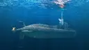 Проект мощнейшей неатомной подлодки «Амур 1650» с ракетными шахтами раскрыли в ОСК