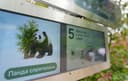 ¿Dónde está la panda Katyusha? La inteligencia artificial ahora la encontrará en el Zoológico de Moscú