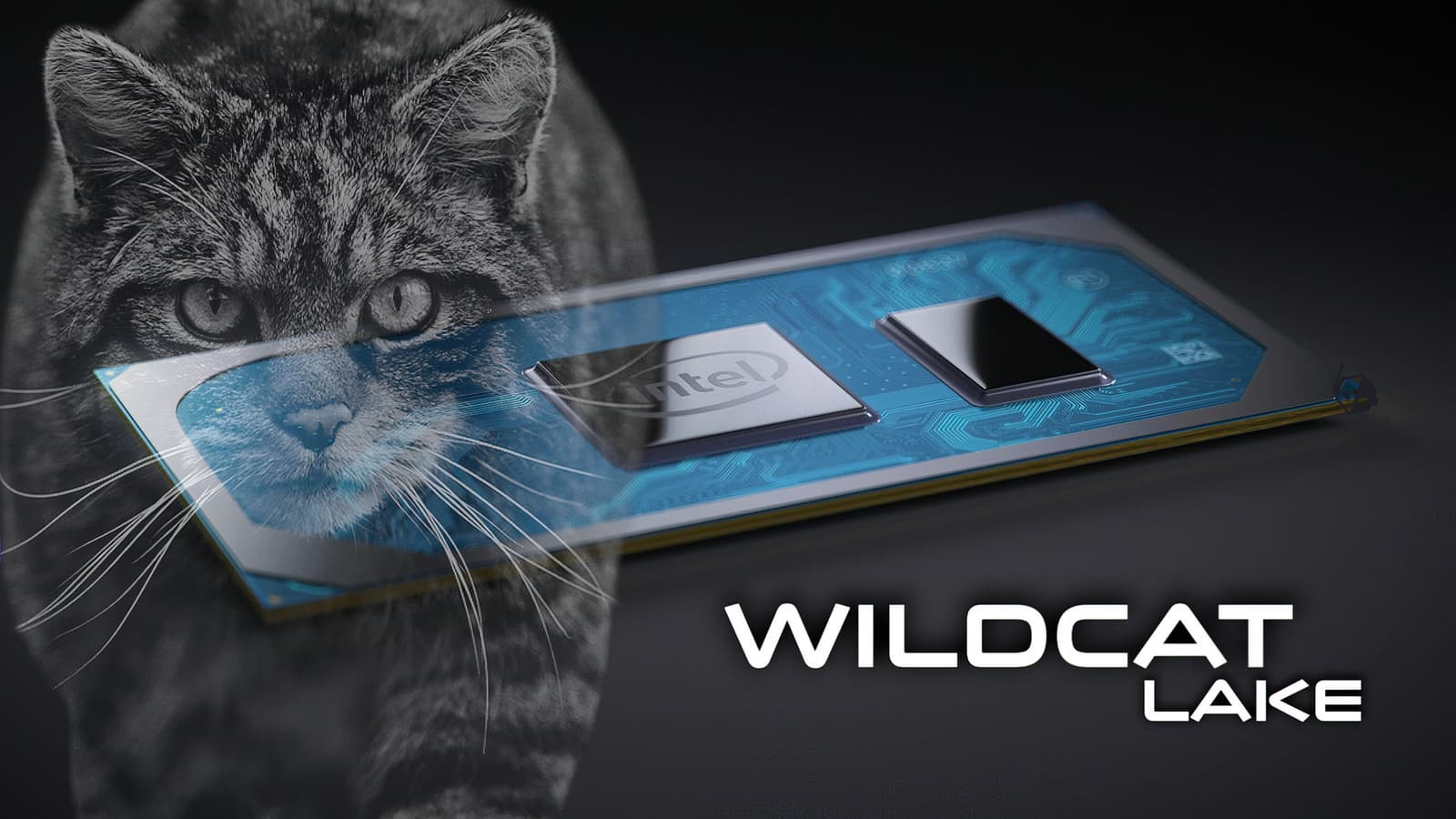 Что ждать от процессора Intel, у которого из шести ядер мощные только два? Intel Core 5 330 протестировали в PassMark