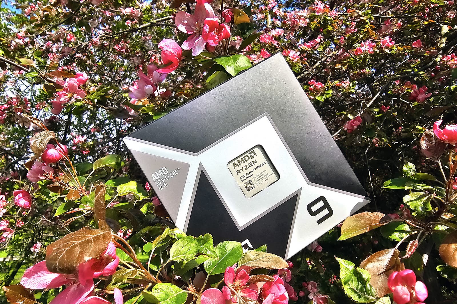 Тестирование процессора AMD Ryzen 9 9950X3D2 для платформы АМ5