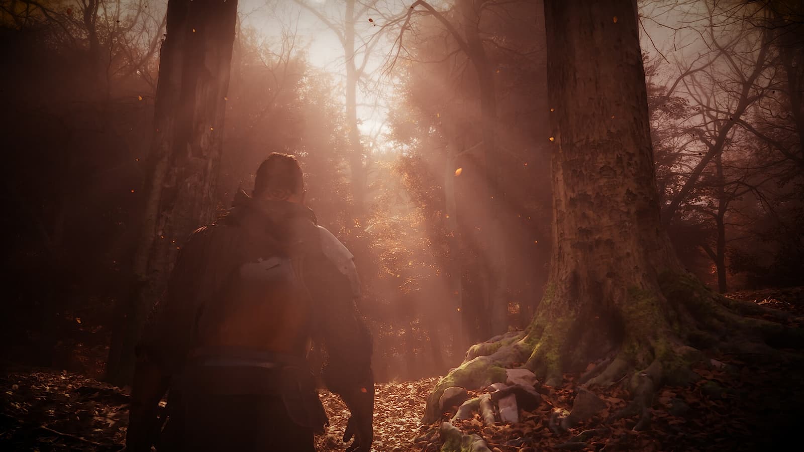 A grim forest scene from The Vernyhorn