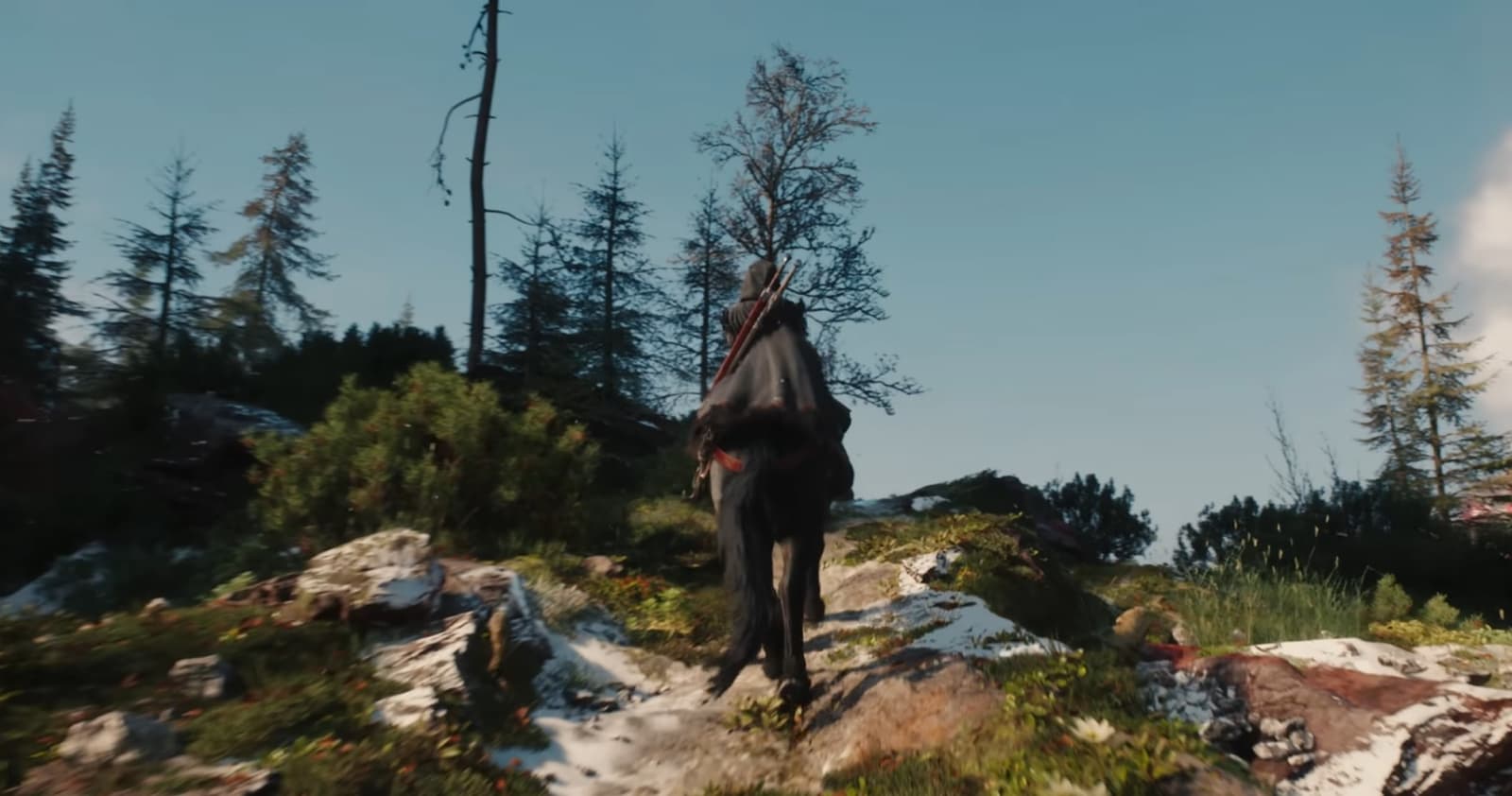 The Witcher 4 in-game screenshot or concept art