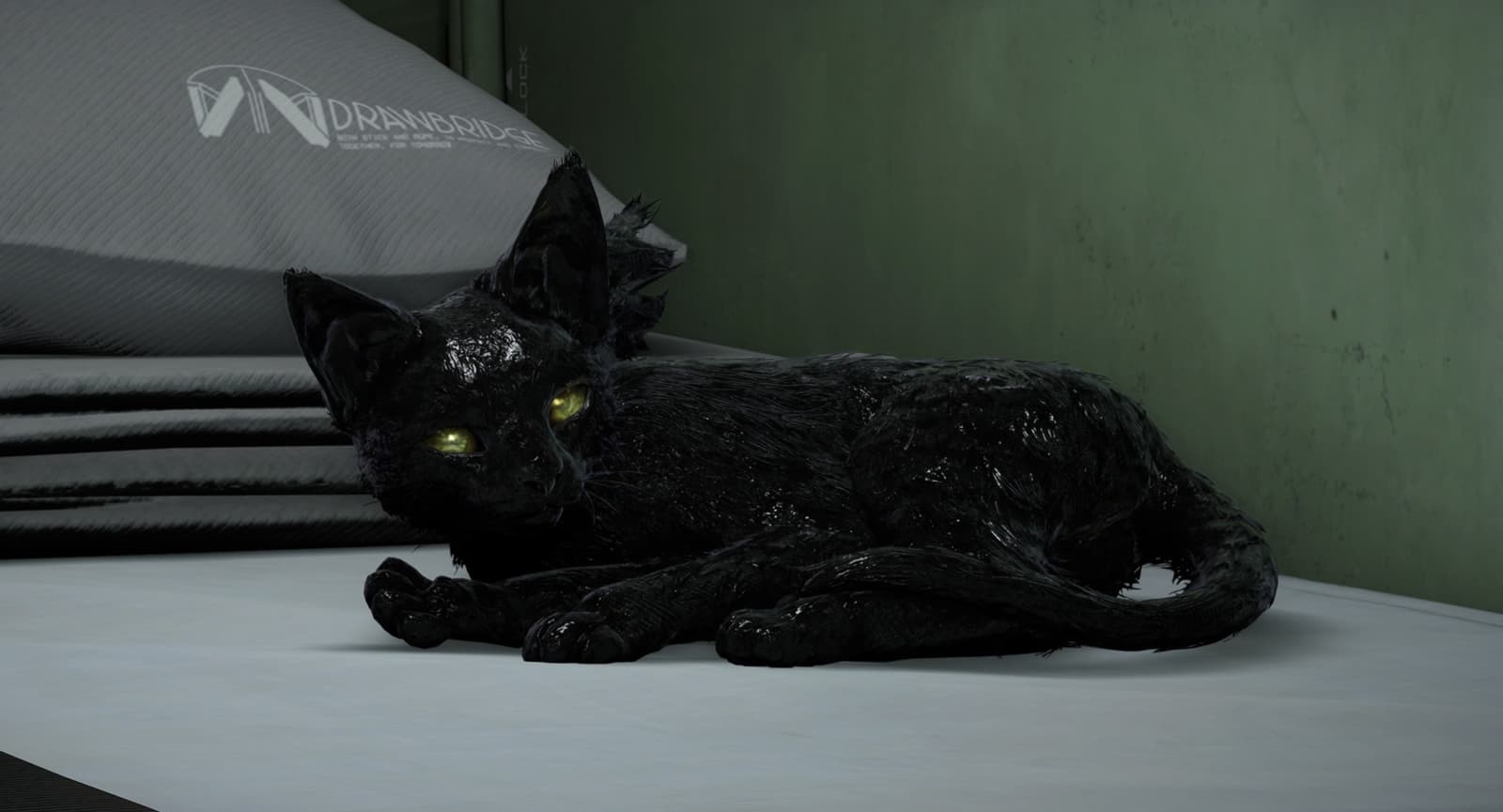 Хиральный кот из Death Stranding 2: On the Beach