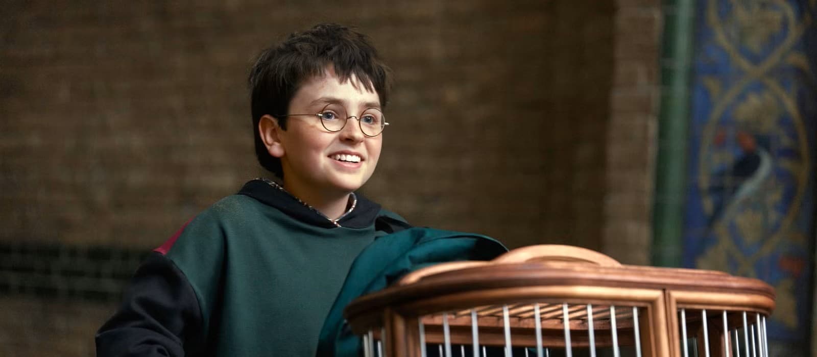 dominic-mclaughlin-as-harry-potter-with-hedwig-in-harry-potter-and-the-philosopher-s-stone.jpg