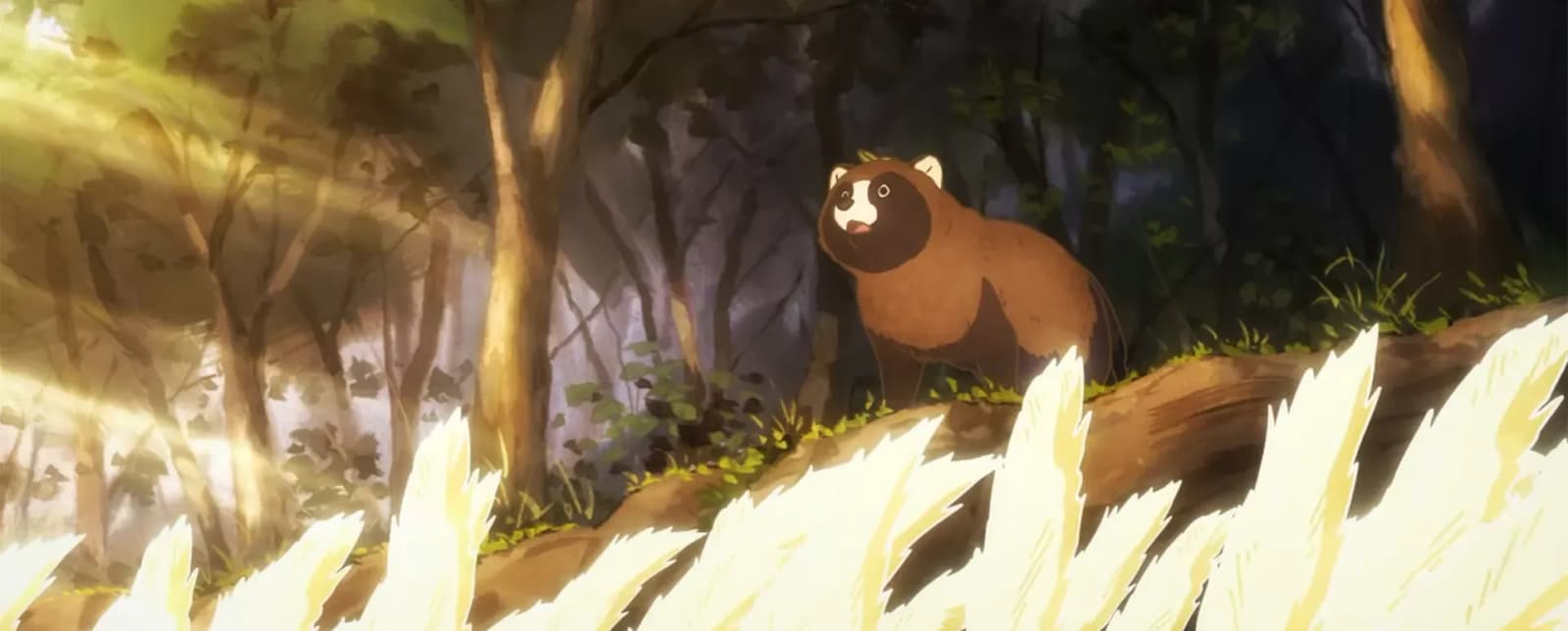 would-you-like-to-be-a-tanuki-teaser-pv-1-screenshot-v1.webp