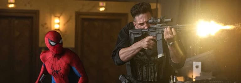 spider-man-brand-new-day-excl-punisher-v1.png