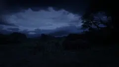 TheUniqueRaptor, Rockstar Games