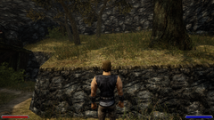 Сообщество Gothic 1 Classic в Steam