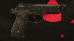 VECTOR INTERACTIVE PTY LTD