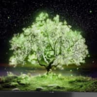 LG объявил о глобальном выпуске новых телевизоров в 2021 году