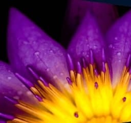 OCS начинает продвижение LED-стен Unilumin