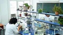 Ученые КазНУ разработали новый способ защиты семян