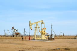 Газопоршневую электростанцию построят для обслуживания месторождения Каражанбас 