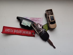 Driver's license exam to be automated in Russia