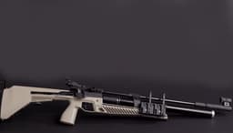 Мигрантам могут запретить покупку пневматического оружия и электрошокеров