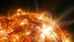 Five Flares of the Second Highest Power Class Occurred on the Sun in a Day