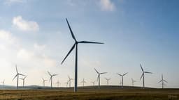 Компании, которые работают в сфере возобновляемой энергетики Грузии, освободят от миллиардных штрафов