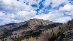 საქართველო ევროპის საუკეთესო ქვეყნების სიაშია განათლებისა და მედიცინის ეფექტურობით