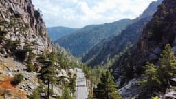 ახალი გზა რუსეთსა და საქართველოს შორის ასობით მილიონ დოლარს მოიტანს