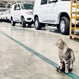 Robots to Apply Anti-Corrosion Coating to UAZ SUVs and Sollers Vehicles