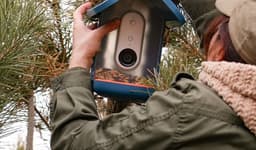 Ucom Connects AI to Ecology: Armenian Students Observe Birds Through "Smart" Feeders