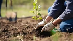 In Uzbekistan, a digital platform pays for planting trees and protecting nature