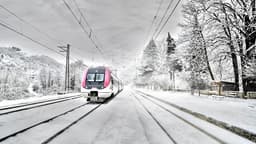 Грузия парализована: почти все поезда остановлены