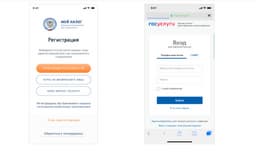 Самозанятые начали направлять заявления в «Моём налоге» на получение больничного