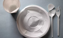 Грузия переходит к активной защите окружающей среды и вводит жесткий запрет на одноразовую посуду