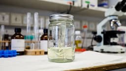 Bio-ink for printing organs created at Sechenov University