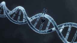 ДНК-тест SepOr для поиска преступников вне баз данных создали в Сибири