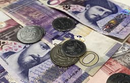 A Unified State Development Bank to be Established in Georgia