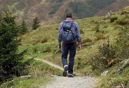 Tourism Business Under Digital Control: Armenia Launches Registry and Demerit Point System