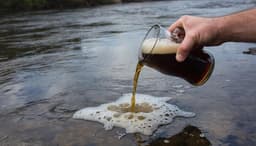 Пивные стоки научились очищать без химии российские инженеры