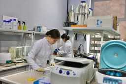 Ученые в Казахстане нашли способ повысить урожайность сельскохозяйственных культур без удобрений