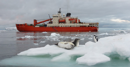 НЭС «Академик Трёшников» ОСК продолжает работу у берегов Антарктиды