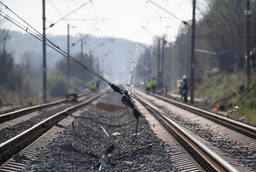 Accidente en la catenaria cerca de Riazán: 11 trenes retrasados