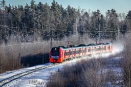 Скоростные «Ласточки» временно заменили обычными электричками в Петербурге