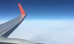 New airline in Georgia starts with flights to the UAE and Thailand
