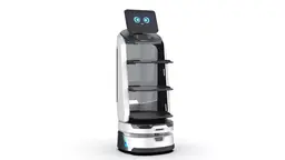 Robots with Artificial Intelligence Have Started Working in Georgia