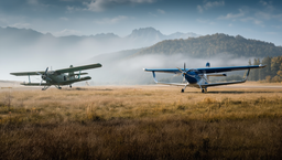 From the scrapyard to the sky: cloning the An-2 would be a bad idea