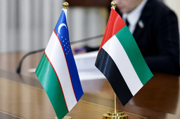 Капитал ОАЭ в Узбекистане: 421 компания и ставка на промышленность и торговлю