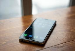 In 2025, Georgia Saw Even More Mobile Numbers