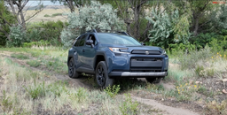 Toyota проверили на бездорожье: на что действительно способен новый RAV4 Woodland
