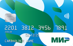 Россия и Индия обсуждают возможность использования карт «Мир»