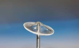 Российские ученые напечатали на 3D-принтере барабанную перепонку