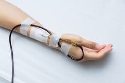 В России впервые создали фильтры для очистки донорской крови. Они эффективнее японских