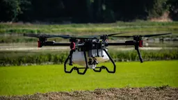 Стало известно, сколько фермеров в России готовы применять беспилотники для обработки земли